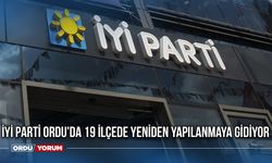 İYİ Parti Ordu'da 19 İlçede Yeniden Yapılanmaya Gidiyor