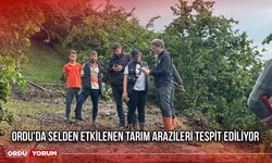 Ordu'da Selden Etkilenen Tarım Arazileri Tespit Ediliyor