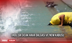 Ordu'da Sıcak Hava Dalgası ve Nem Kabusu