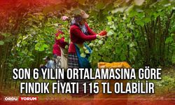 Son 6 Yılın Ortalamasına Göre Fındık Fiyatı 115 TL Olabilir