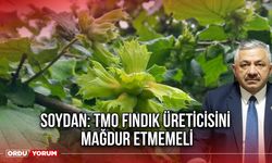 Soydan: TMO Fındık Üreticisini Mağdur Etmemeli