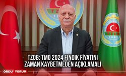 TZOB: TMO 2024 Fındık Fiyatını Zaman Kaybetmeden Açıklamalı