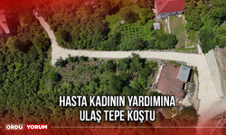 Hasta Kadının Yardımına Ulaş Tepe Koştu