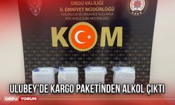 Ulubey'de Kargo Paketinden Alkol Çıktı