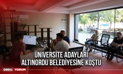 Üniversite Adayları Altınordu Belediyesine Koştu