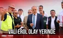 Vali Erol Olay Yerinde