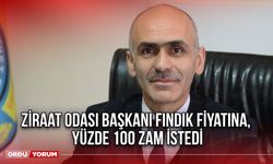 Ziraat Odası Başkanı Fındık Fiyatına Yüzde 100 Zam istedi