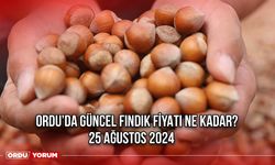 Ordu’da Güncel Fındık Fiyatı Ne Kadar? 25 Ağustos 2024