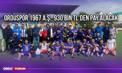 Orduspor 1967 A.Ş., 930 bin TL'den Pay Alacak