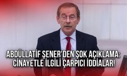 Abdüllatif Şener'den Şok Açıklama: Cinayetle İlgili Çarpıcı İddialar!