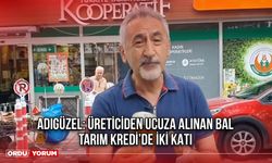 Adıgüzel: Üreticiden Ucuza Alınan Bal, Tarım Kredi’de İki Katı