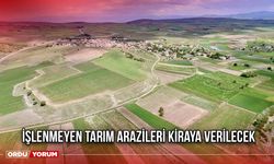 İşlenmeyen Tarım Arazileri Kiraya Verilecek