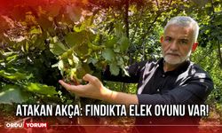 Atakan Akça: Fındıkta Elek Oyunu Var!