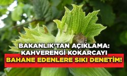 Bakanlık'tan Açıklama: Kahverengi Kokarcayı Bahane Edenlere Sıkı Denetim!