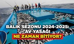 Balık Sezonu 2024-2025: Av Yasağı Ne Zaman Bitiyor?