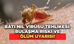 Batı Nil Virüsü Tehlikesi: Bulaşma Riski ve Ölüm Uyarısı!