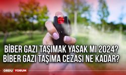 Biber gazı taşımak yasak mı 2024? Biber gazı taşıma cezası ne kadar?