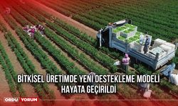 Bitkisel Üretimde Yeni Destekleme Modeli, Hayata Geçirildi