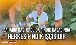 Bahadır Baş: Ordu’da Fındık Hasadında Herkes Fındık İşçisidir