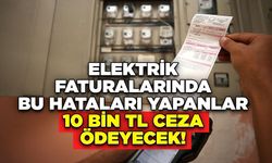 Elektrik Faturalarında Bu Hataları Yapanlar 10 Bin TL Ceza Ödeyecek!