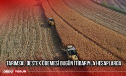 Tarımsal Destek Ödemesi Bugün İtibarıyla Hesaplarda