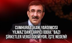 Cumhurbaşkanı Yardımcısı Yılmaz'dan Çarpıcı İddia: 'Bazı Şirketler Vergi Ödemiyor, İşte Nedeni!