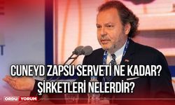 Cuneyd Zapsu serveti ne kadar? Şirketleri nelerdir?