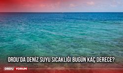 Ordu'da Deniz Suyu Sıcaklığı Bugün Kaç Derece?