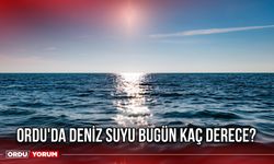 Ordu'da Deniz Suyu Bugün Kaç Derece?