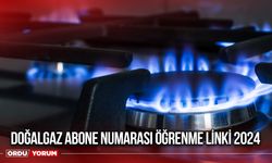 Doğalgaz abone numarası öğrenme linki 2024