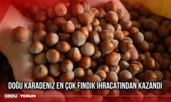 Doğu Karadeniz En Çok Fındık İhracatından Kazandı