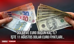 Dolar ve Euro Bugün Kaç TL? İşte 11 Ağustos Dolar Euro Fiyatları…