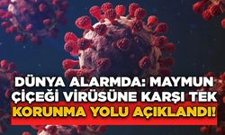 Dünya Alarmda: Maymun Çiçeği Virüsüne Karşı Tek Korunma Yolu Açıklandı!