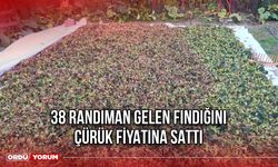 38 Randıman Gelen Fındığını, Çürük Fiyatına Sattı