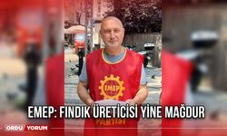 EMEP: Fındık Üreticisi Yine Mağdur