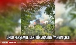 Ordu Perşembe’deki Bir Arazide Yangın Çıktı