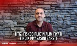 Titiz: Fiskobirlik'in Alım Fiyatı, Fındık Piyasasını Sarstı