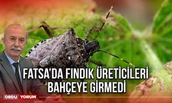 Fatsa’da Fındık Üreticileri Bahçeye Girmedi