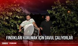 Fındıkları Korumak İçin Davul Çalıyorlar