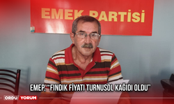 EMEP, “Fındık fiyatı turnusol kağıdı oldu.”