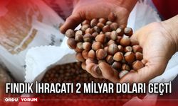 Fındık İhracatı 2 Milyar Doları Geçti