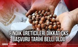 Fındık Üreticileri Dikkat ÇKS Başvuru Tarihi Belli Oldu