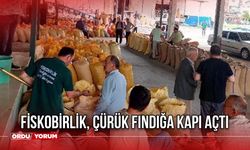 Fiskobirlik, Çürük Fındığa Kapı Açtı