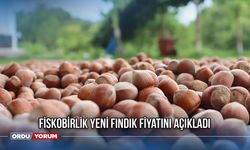 Fiskobirlik yeni fındık fiyatını açıkladı