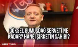 Göksel Gümüşdağ serveti ne kadar? Hangi şirketin sahibi?