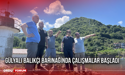 Gülyalı Balıkçı Barınağında Çalışmalar Başladı