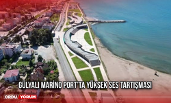 Gülyalı Marino Port’ta Yüksek Ses Tartışması