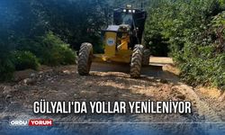 Gülyalı'da Yollar Yenileniyor