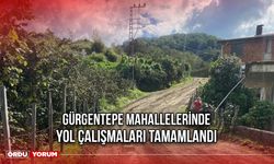 Gürgentepe Mahallelerinde Yol Çalışmaları Tamamlandı