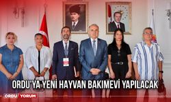 Ordu'ya Yeni Hayvan Bakımevi Yapılacak